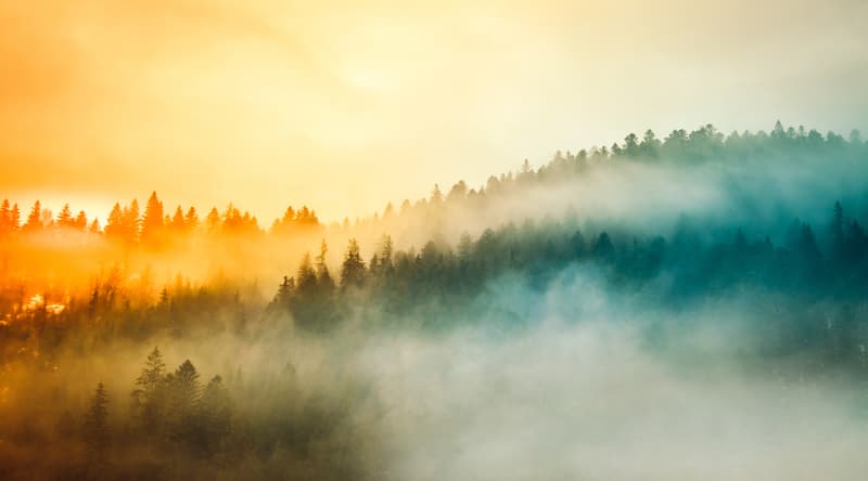 Investing Amid Peak Uncertainty: A Cross-Asset-Class View
