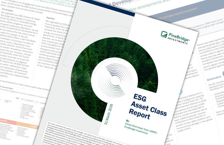 Global Multi-Asset ESG Report: 2H24