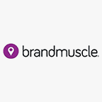 Co-Lead Arranger