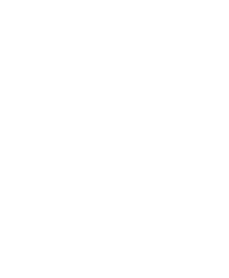 ESG Investment
