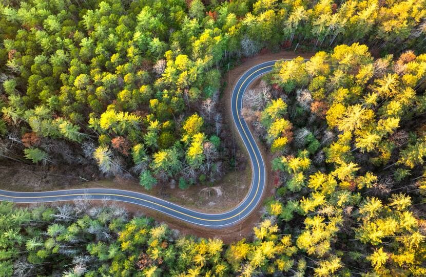 CML Dec 31 2025 Capital Market Line: The Pivot Driving a Pickup in US Growth