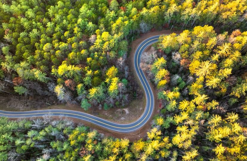 Capital Market Line: The Pivot Driving a Pickup in US Growth