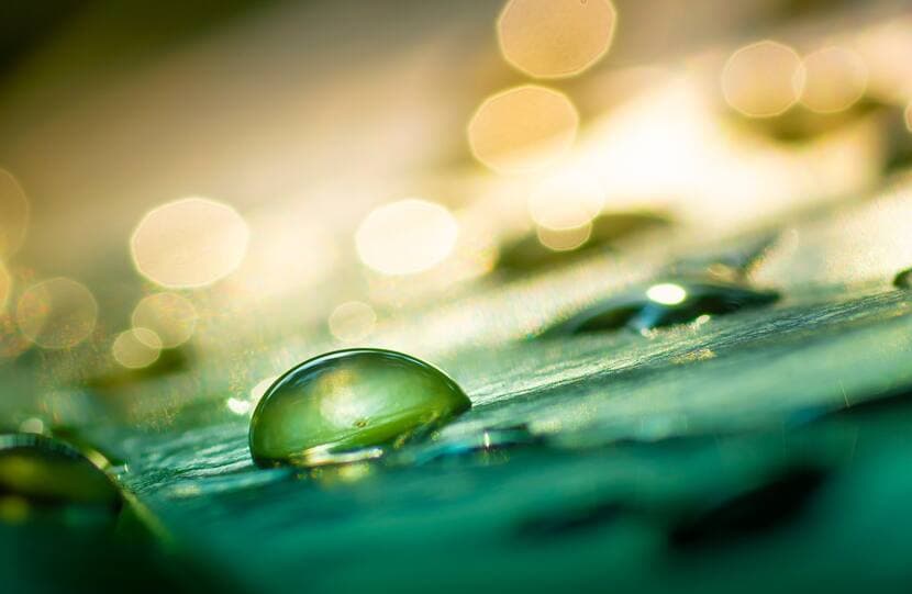 Multi Asset IO 26 image Multi Asset IO 26 image