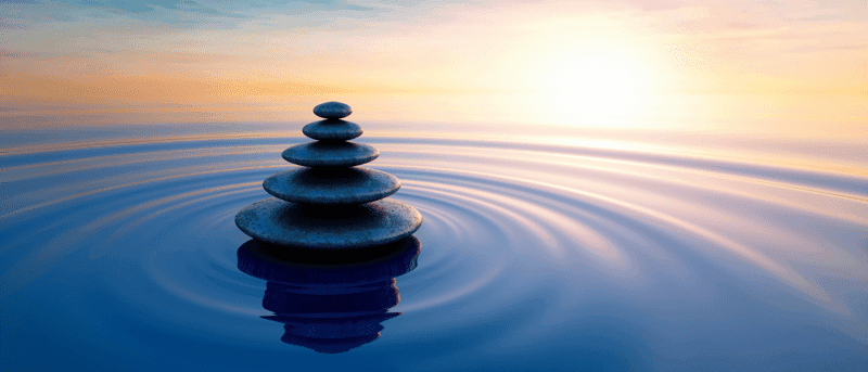 2026 Fixed Income Outlook: Stay Calm and Keep Your Carry On