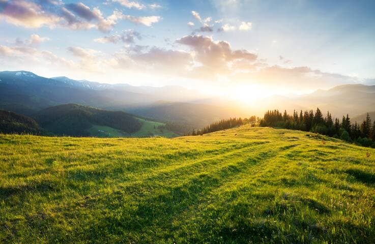 Where We See Value in Credit Markets in 2024 Where We See Value in Credit Markets in 2024