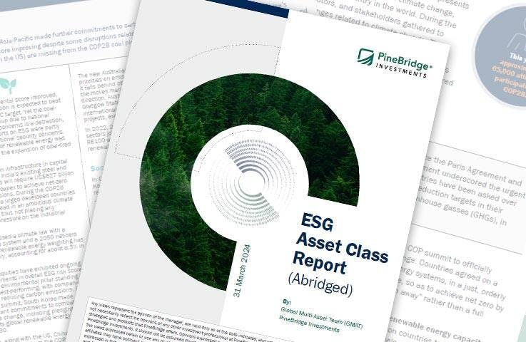 Global Multi-Asset ESG Report