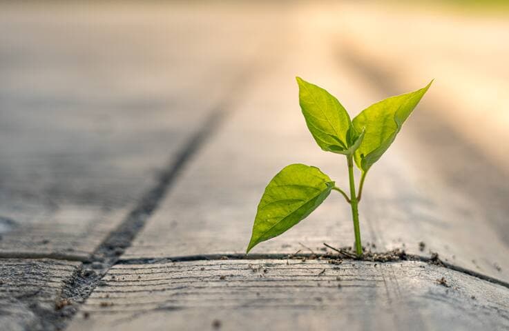 2024 Insurance Outlook 2024 Insurance Investment Outlook: Shifting Rules, Rates, and Risks