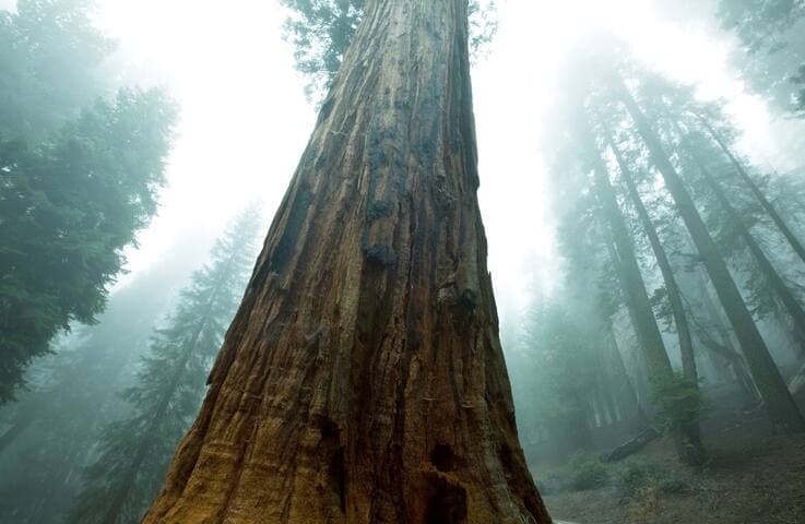 2023Midyear_PrivateCredit 2023Midyear_PrivateCredit